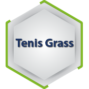 tenisgrass